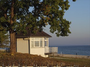 Small house under a large tree with a view of the sea in autumn light, Binz, Rügen, Germany, Europe