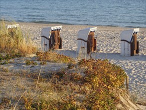 White beach chairs stand on the sandy beach, surrounded by low vegetation and overlooking the sea,