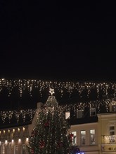 Large Christmas tree with festive lights and star on top, surrounded by illuminated buildings at