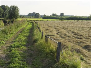 A grassy path along a fence and a freshly mown meadow, surrounded by trees in a rural landscape,