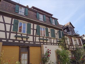 Two half-timbered houses with green shutters and flowers in the front garden under a blue sky,