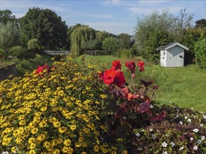 Vibrant flowers blooming in a country garden, with a small white shed and lush vegetation in the