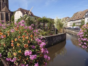 A blooming town view with a canal and colourful flowers, Wissembourg, Alsace, France, Europe