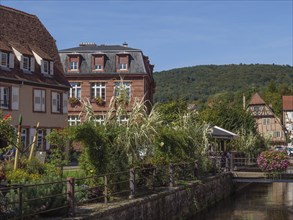 A picturesque town with half-timbered houses and an overgrown canal, Wissembourg, Alsace, France,