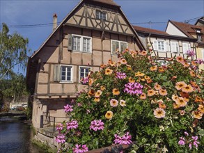 Half-timbered house with colourful flowers in the foreground next to a small river in a town,