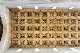 Casette ceiling in the nave, Cathedral of Santa Maria Assunta, Pisa, Tuscany, Italy, Europe, Richly