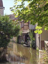 Idyllic scene of a waterway surrounded by traditional houses and trees, Wissembourg, Alsace,