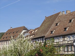 Traditional houses with steep roofs and surrounding vegetation under a blue sky, Wissembourg,