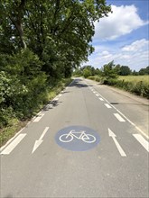 Bicycle lane with in the middle of lane marking on lane direction arrows both directions and blue