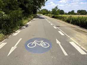 Bicycle lane with in the middle of lane marking on lane direction arrows both directions and blue