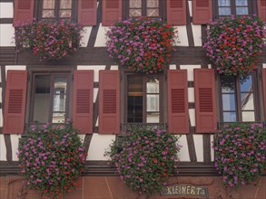 Traditional half-timbered house with red shutters and colourful flower boxes that create a cosy