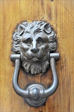 Siena, Tuscany, Italy, Europe, A detailed lion's head door knocker on an antique wooden door,