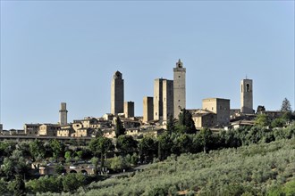Towers of the sexes, Landscape, in autumn, Fields with olive trees, Vineyards, Tuscany, Italy,