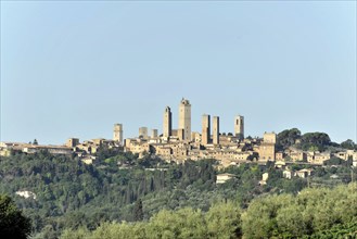 Gender towers, landscape, in autumn, fields with olive trees, vineyards, Tuscany, Italy, Europe,