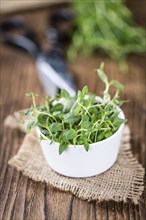 Fresh Thyme (close-up shot, selective focus) on wooden background