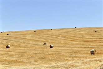 Harvested wheat fields, Landscape south of Pienza, Tuscany, Italy, Europe, Golden fields with hay