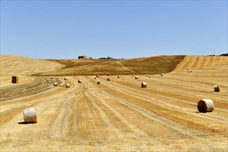 Harvested wheat fields, landscape south of Pienza, Tuscany, Italy, Europe, Several hay bales