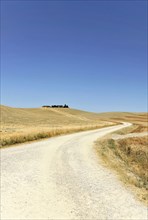 Harvested wheat fields, Landscape south of Pienza, Tuscany, Italy, Europe, Winding country road