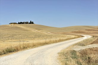 Harvested wheat fields, Landscape south of Pienza, Tuscany, Italy, Europe, A winding gravel path