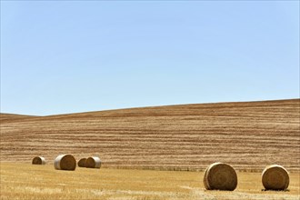 Harvested wheat fields, landscape south of Pienza, Tuscany, Italy, Europe, Hay bales scattered in a