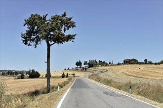 Harvested wheat fields, Landscape south of Pienza, Tuscany, Italy, Europe, Abandoned country road