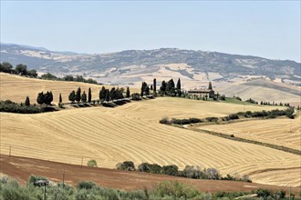 Harvested wheat fields, Landscape south of Pienza, Tuscany, Italy, Europe, View of a historic town