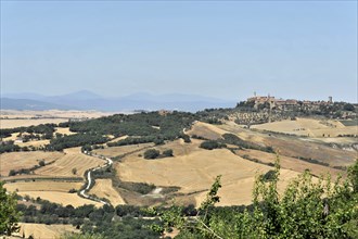 Harvested wheat fields, landscape south of Pienza, Tuscany, Italy, Europe, View of a historic town