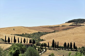 Harvested wheat fields, landscape south of Pienza, Tuscany, Italy, Europe, View of a historic town