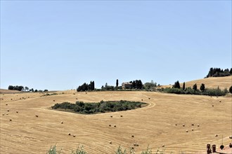 Harvested wheat fields, landscape south of Pienza, Tuscany, Italy, Europe, View of a historic town