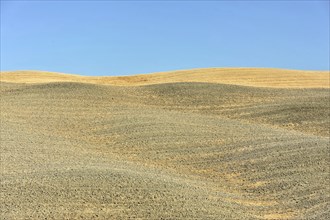 Harvested fields south of Siena, Crete Senesi, Tuscany, Italy, Europe, Wide dry fields and rolling