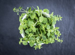 Oregano on a slate slab (selective focus, detailed close-up shot)