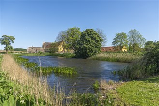 Brahetrolleborg Castle, farmyard, agriculture, pond, reeds, water plants, Faborg, Faaborg, Fyn, Fyn