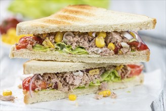 Fresh made Tuna Sandwiches (detailed close-up shot, selective focus)