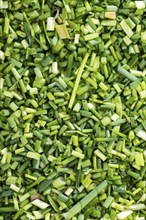 Heap of fresh cutted Chive for background use or as texture