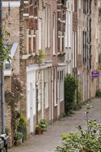 A quiet back alley with charming brick houses and plants, Dordrecht, holland, netherlands