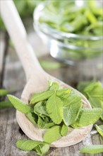 Small portion of fresh Sage on a wooden spoon