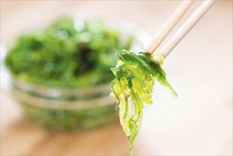 Kelp Salad (detailed close-up shot) on wooden background