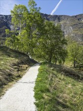 Small hiking trail through a green landscape with trees and mountains, Flam, Norway, Scandinavia,