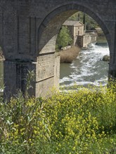 Stone bridge over river with waterfall and yellow flowers in the foreground, Toledo, Spain, Europe