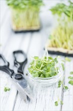 Portion of fresh Cutted Cress (close-up shot, selective focus)