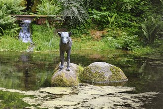 Heidelberg, Germany, June 8th 2024: Wolf sculpture at historic well called 'Wolfsbrunnen' in