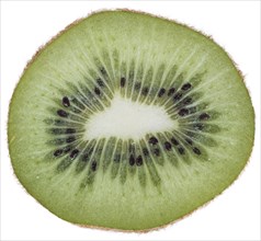 Kiwi Fruits (close-up shot) isolated on white background