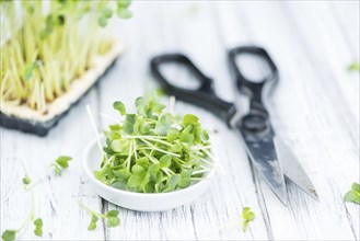 Cutted Cress on a vintage background as detailed close-up shot (selective focus)