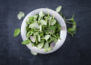 Slate Slab with fresh Thyme (close-up shot, selective focus)