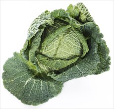 Savoy Cabbage (close-up shot) isolated on white background