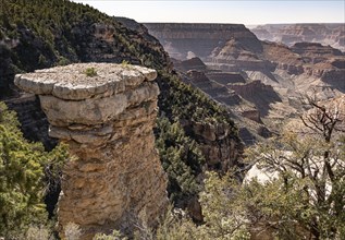 Grand Canyon in Arizona, USA, North America