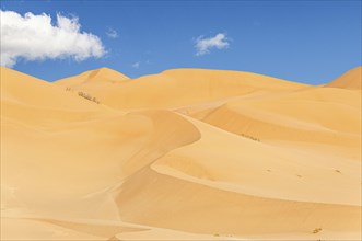 Offroad Jeep safari in the beautiful Omani Rub al-Chali Desert