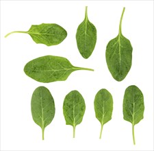 Portion of fresh Spinach isolated on white background (close-up shot)