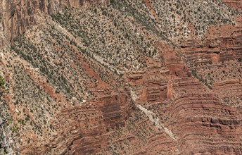 Grand Canyon National Park in Arizona, USA, North America