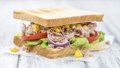 Fresh made Tuna Sandwiches (detailed close-up shot, selective focus)